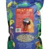 Vetafarm Macaw Nuts 2kg -Outlet Bird Food Store 380b2fb83a63b27ebe9c429a1b7e39e3.image .225x271