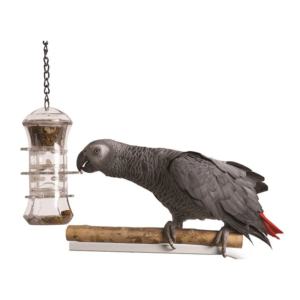 Featherland Paradise Push & Pull Foraging Bird Toy (35cm) 4 Featherland Paradise Push & Pull Foraging Bird Toy (35cm) - Image 2