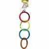 Avi One Parrot Toy Acrylic 4 Rings 2 Avi One Parrot Toy Acrylic 4 Rings -Outlet Bird Food Store 9325136130515A