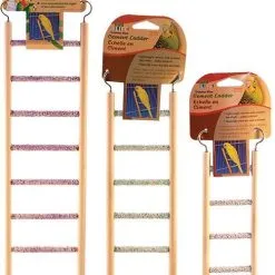 Outlet Bird Food Store 14 Cement Bird Ladder (All Pet) - Large (9 Steps)