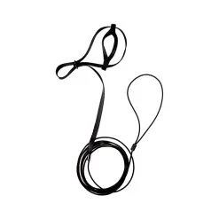 The Aviator Adjustable Safety Harness & Leash For Birds Black Mini 7 The Aviator Adjustable Safety Harness & Leash For Birds Black Mini -Outlet Bird Food Store 95 0094 BK 2