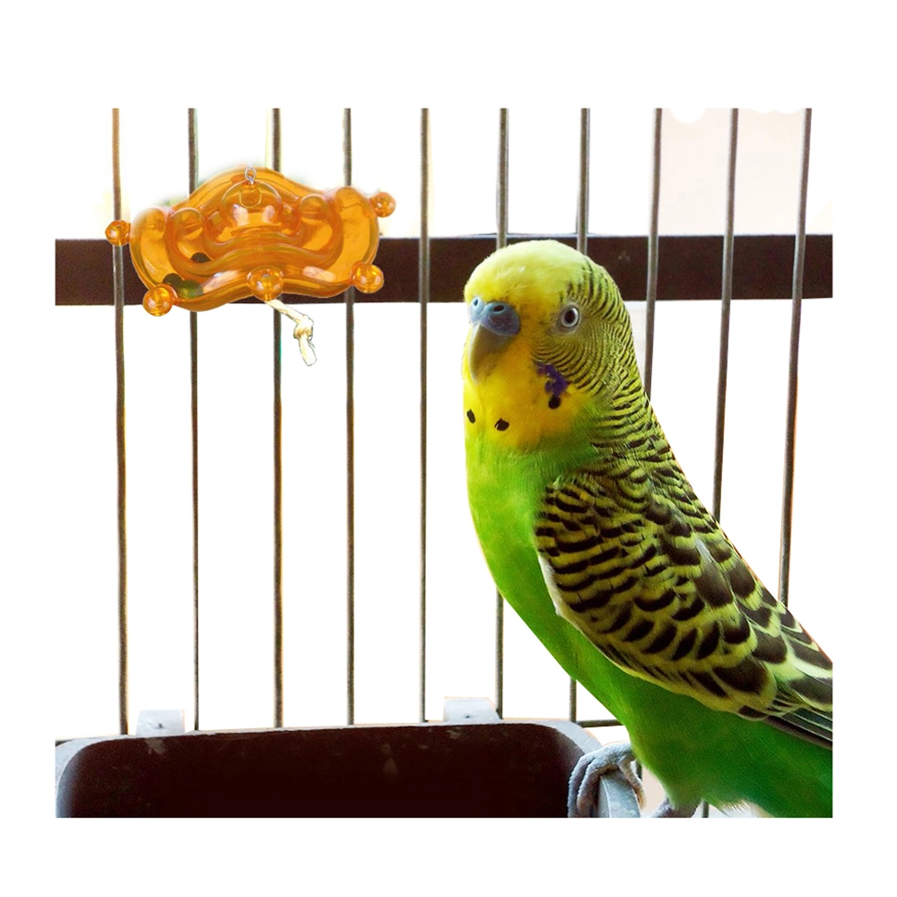 Featherland Paradise Silly Saucer Bird Toy Small 8 X 3cm 4 Featherland Paradise Silly Saucer Bird Toy Small 8 X 3cm - Image 2