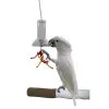 Featherland Paradise Foraging Capsule Bird Toy 48 X 11 X 11cm 2 Featherland Paradise Foraging Capsule Bird Toy 48 X 11 X 11cm -Outlet Bird Food Store 96 00612