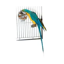 Featherland Paradise Paradise Foraging Wheel Bird Toy 17.5 X 15cm 5 Featherland Paradise Paradise Foraging Wheel Bird Toy 17.5 X 15cm -Outlet Bird Food Store 96 00613 1