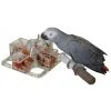 Featherland Paradise Foraging 4 Corners Cage Mount Bird Toy 21.5cm 2 Featherland Paradise Foraging 4 Corners Cage Mount Bird Toy 21.5cm -Outlet Bird Food Store 96 25722