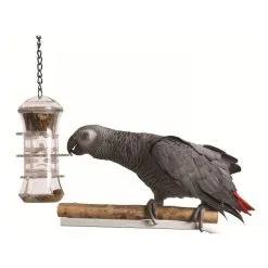 Featherland Paradise Push & Pull Foraging Bird Toy 35.5cm 5 Featherland Paradise Push & Pull Foraging Bird Toy 35.5cm -Outlet Bird Food Store 96 25753 1