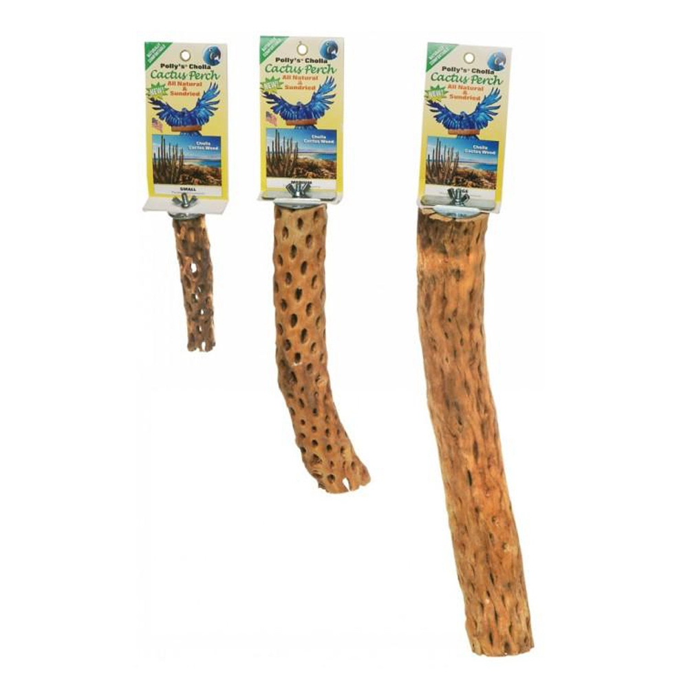 Pollys Pet Cholla Cactus Sun Dried Bird Perch Small 15cm 4 Pollys Pet Cholla Cactus Sun Dried Bird Perch Small 15cm - Image 2