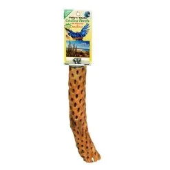 Pollys Pet Cholla Cactus Sun Dried Bird Perch Small 15cm