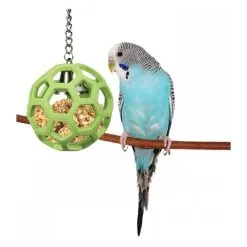 JW Pet Insight Activitoys Hol-ee Roller Treat Dispensing Bird Toy 8 JW Pet Insight Activitoys Hol-ee Roller Treat Dispensing Bird Toy -Outlet Bird Food Store 98 31023 2