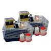 URS Chicken Starter Home Rearing Young Chickens Kit 2 URS Chicken Starter Home Rearing Young Chickens Kit -Outlet Bird Food Store B.CSKIT