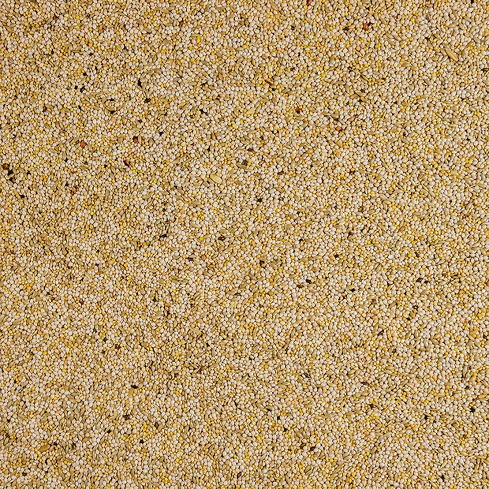 Golden Cob Finch Mix Nutritious Feed Supplement For Birds 10kg 5 Golden Cob Finch Mix Nutritious Feed Supplement For Birds 10kg - Image 3